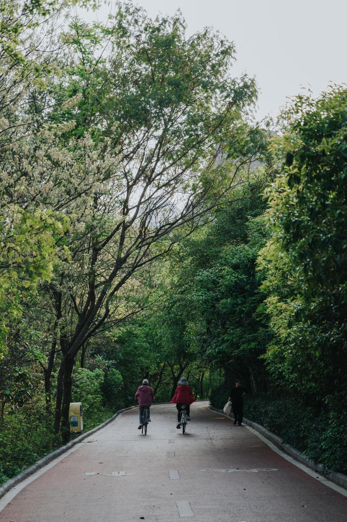 Guilin Bonjour Boutique Hotel- Free Pick Up Service Over 3 Nights Eksteriør bilde